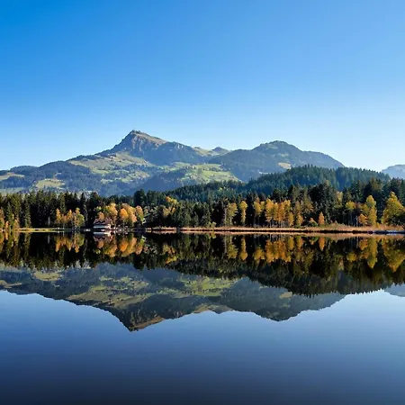 Marie Luise, Διαμέρισμα