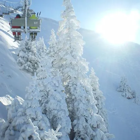 Marie Luise, Διαμέρισμα