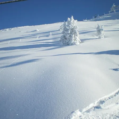 Διαμέρισμα Marie Luise, *