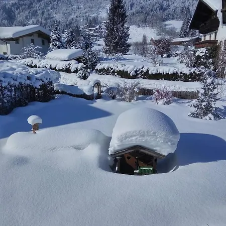 Marie Luise, Διαμέρισμα