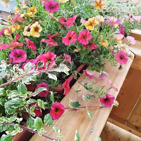 Marie Luise, * Reith bei Kitzbühel