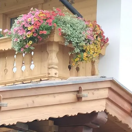 Marie Luise, Διαμέρισμα