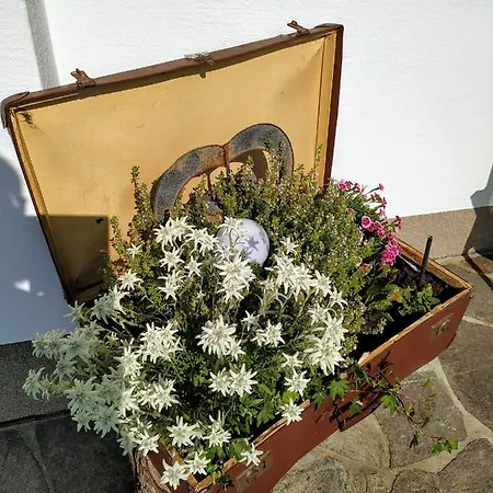 Διαμέρισμα Marie Luise, Reith bei Kitzbühel