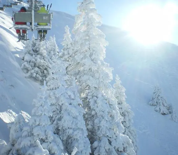 Marie Luise, Apartament