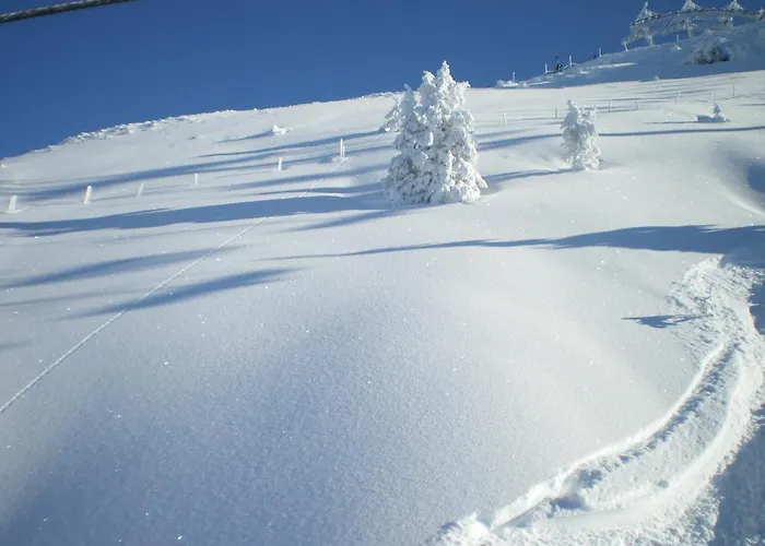 Apartament Marie Luise, *