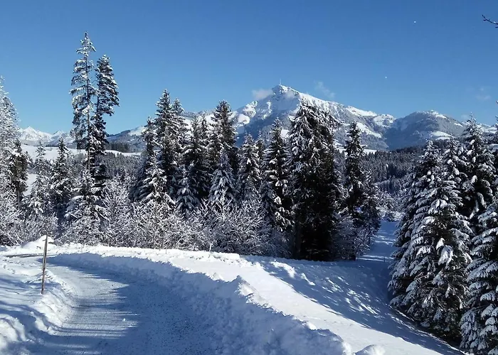 Marie Luise, * Reith bei Kitzbühel