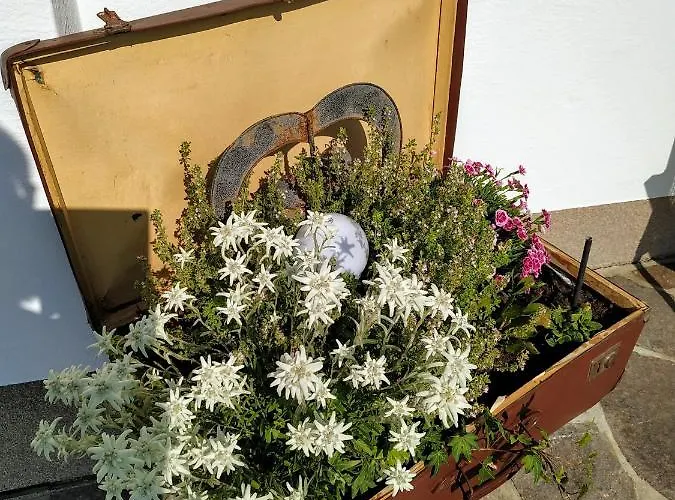 Apartament Marie Luise, Reith bei Kitzbühel