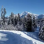 Marie Luise, * Reith bei Kitzbühel