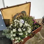 Daire Marie Luise, Reith bei Kitzbühel